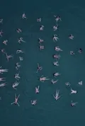 All of Us — Personal Project