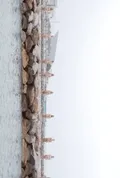 All of Us — Personal Project